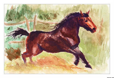 Horse - watercolour