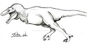 Ganeosaurus tardus