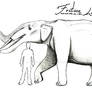 Platybelodon danovi Scale