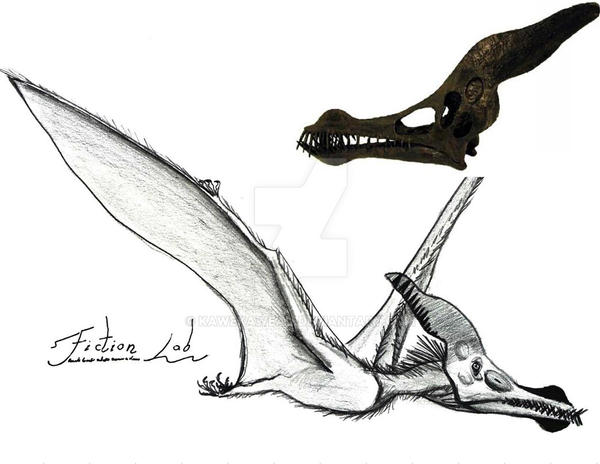 Caulkicephalus trimicrodon