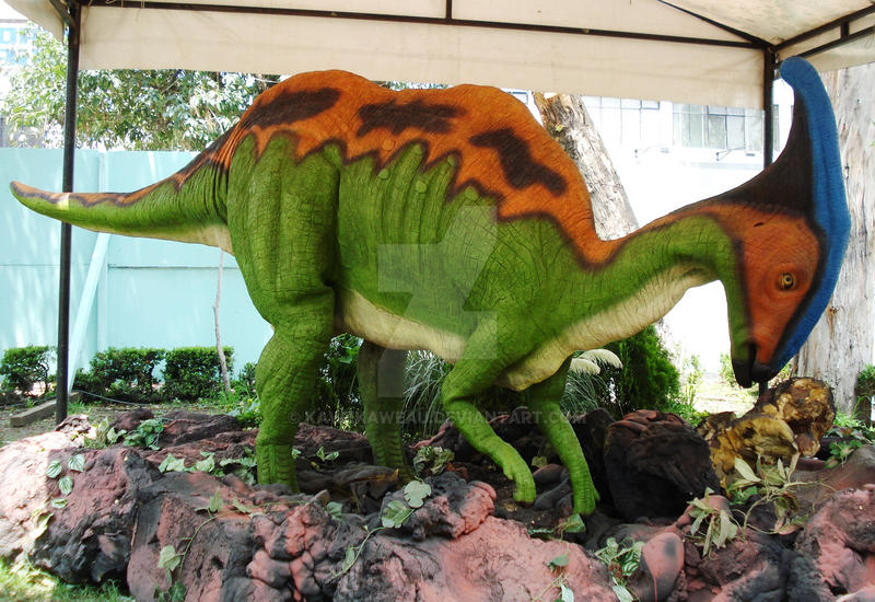 Parasaurolophus