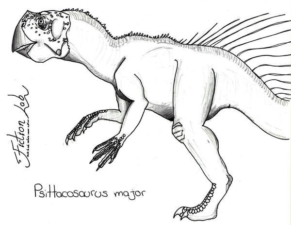 Psittacosaurus major