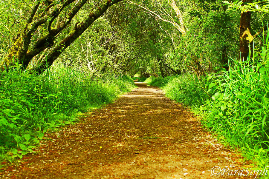 Green Is The Colour.