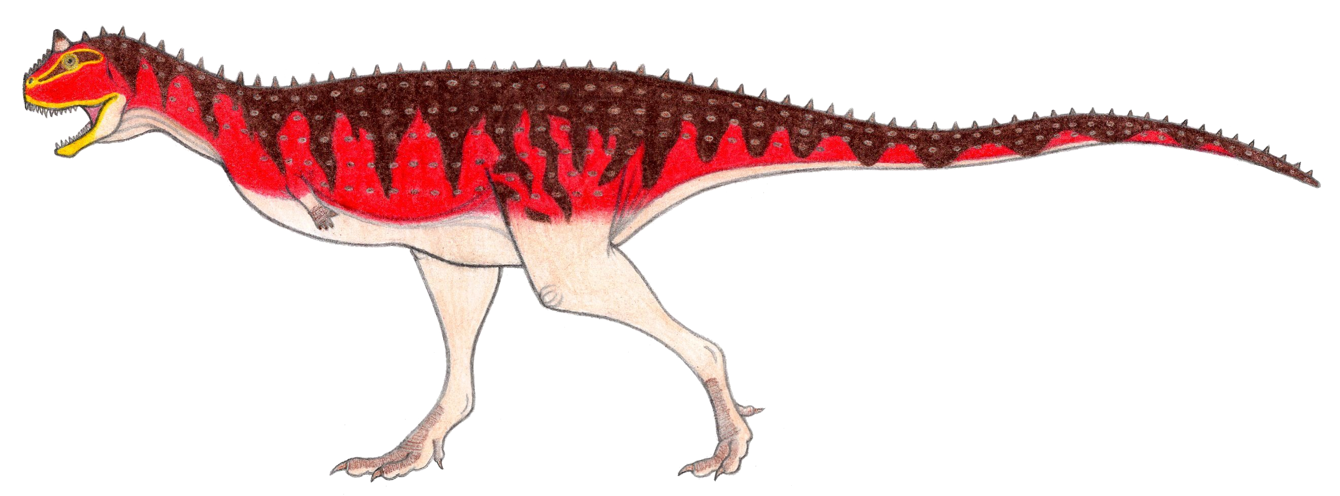 Carnotaurus for Wikipedia by FredtheDinosaurman on DeviantArt