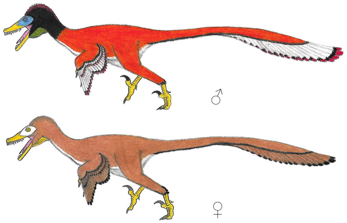 Velociraptor by Venofoot on DeviantArt