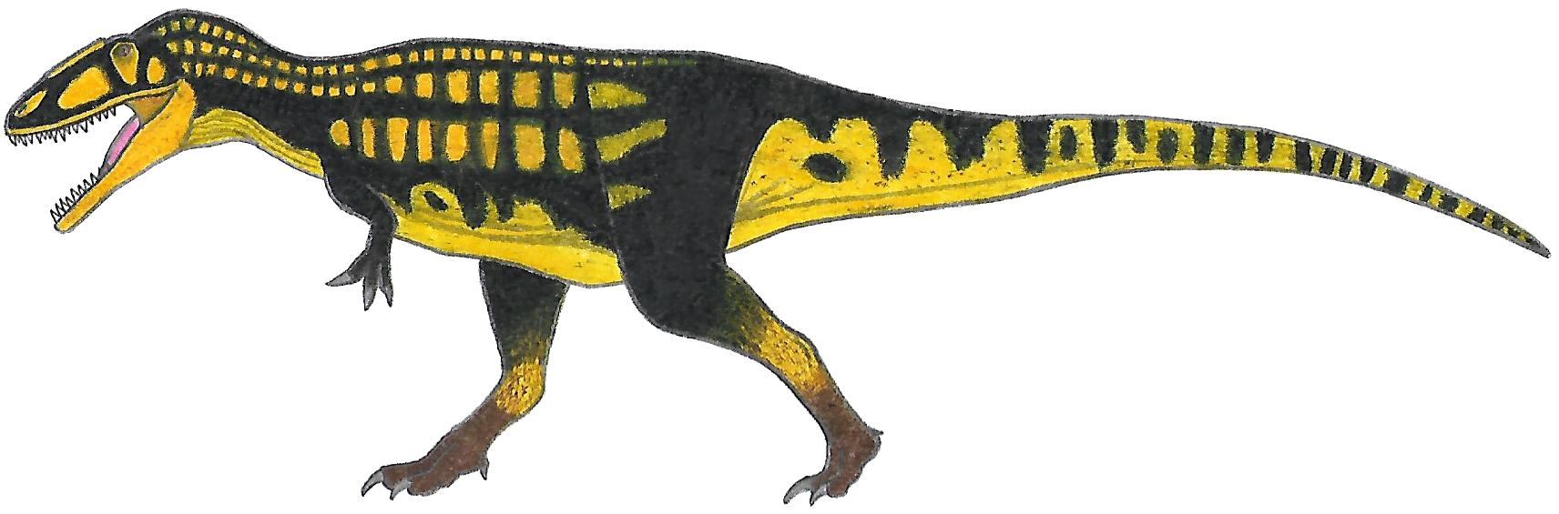 Carcharodontosaurus