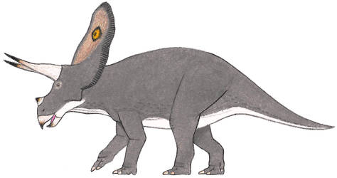 Explore the Best Torosaurus Art | DeviantArt