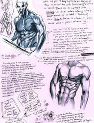 Muscle Study