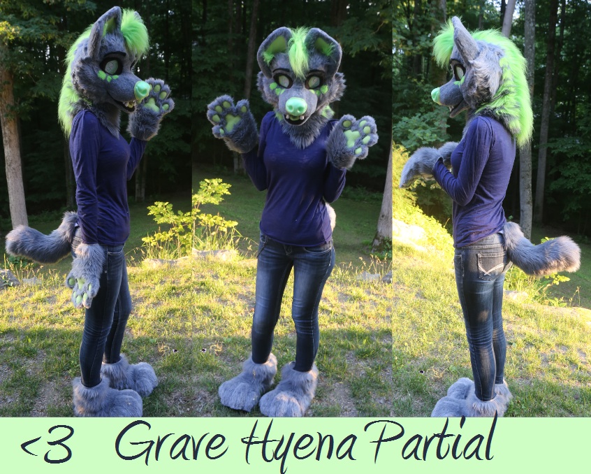 Grave Hyena Partial Commission