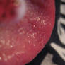 Tongue Stock 2