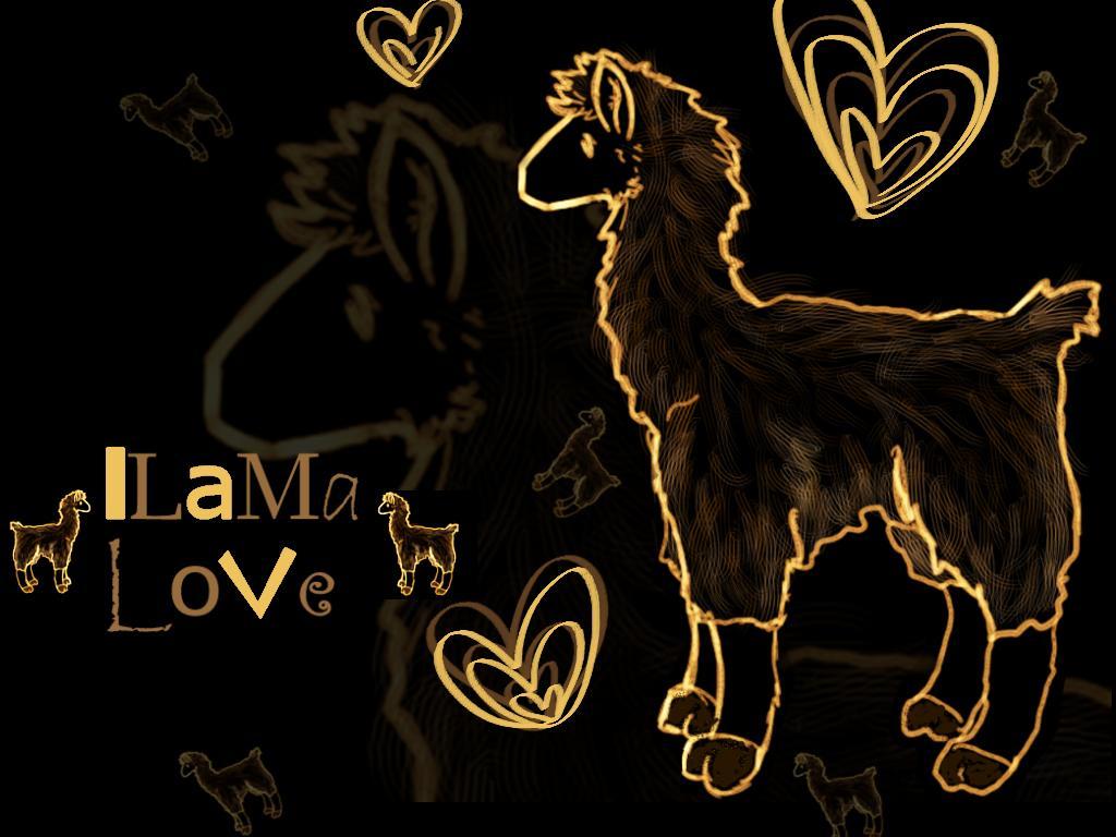 Llama Love