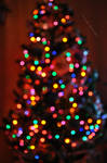 Christmas tree bokeh by fotografka