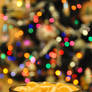 Christmas Eve - poppy with mandarines