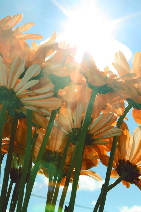 blinding life by xNinjaMermaidx on DeviantArt