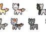 Warrioir adopts!!