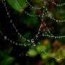 Stringing a Web Necklace