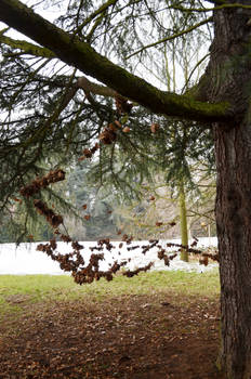 Suspended Leaf Installation