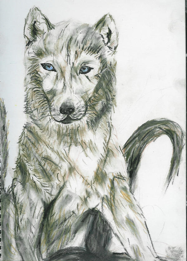 wolfdog by gorlagon on DeviantArt