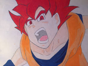 Super Sayian God Goku (DBZ)