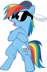 MLP: Rainbow Dash Radicalness