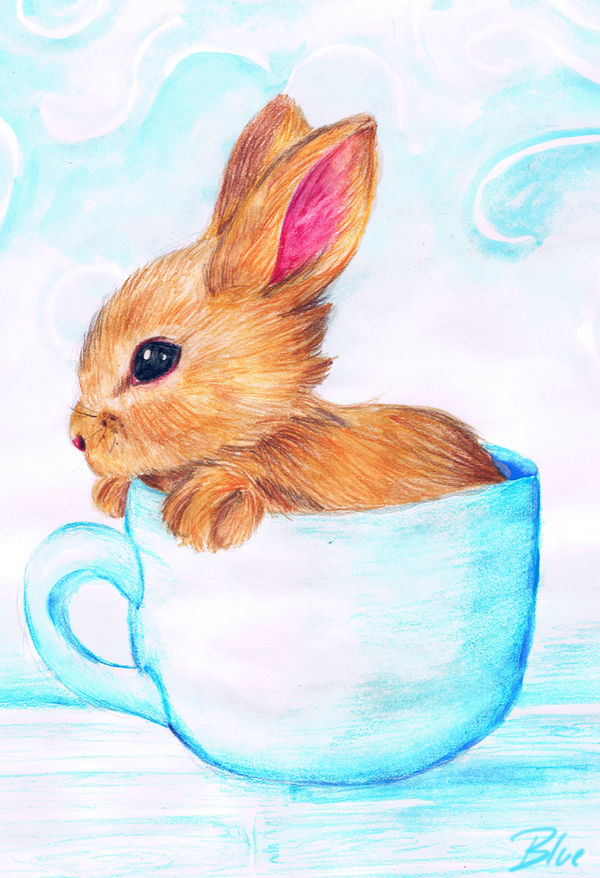 Teacup Bunny by Blusagi