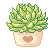 Succulent Icon - FREE TO USE