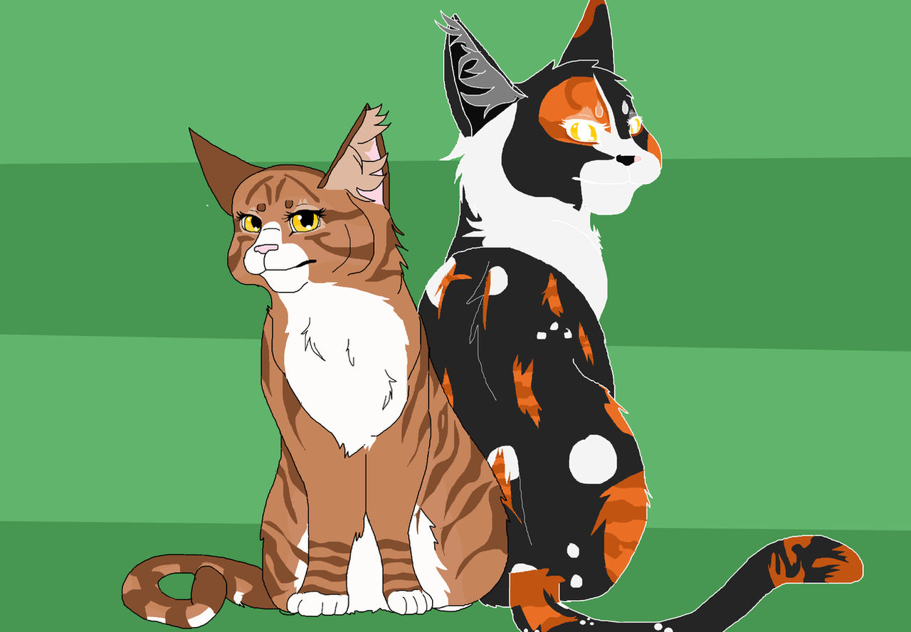 Spottedleaf Falling Spottedleaf and Leafpool by FireCupcakes on DeviantArt