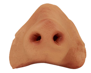 Pig's Nose Transparent png