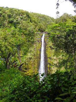 Akaka Falls - Set 2 - 004