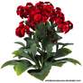 Stock:  Red flowers with green leaves PNG