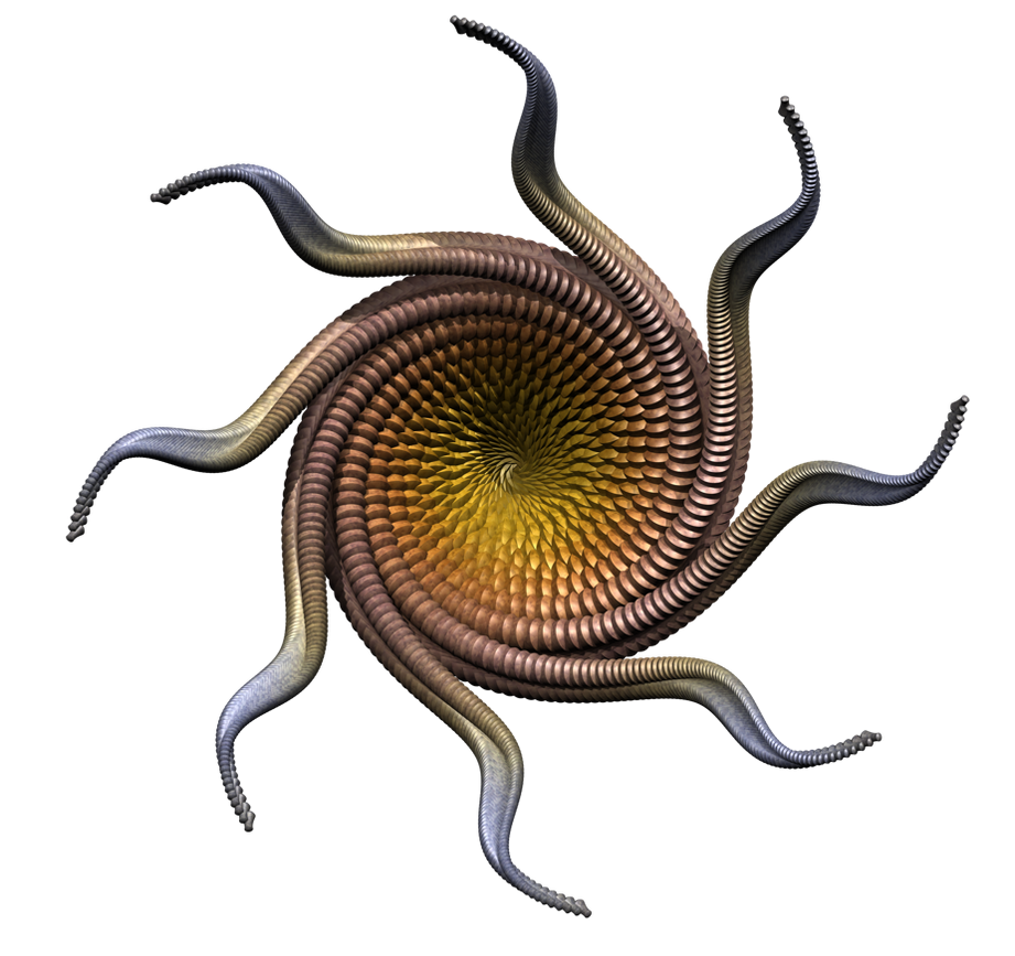 shape, color and texture study by ArtReferenceSource on DeviantArt