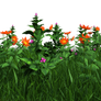 Free PNG:  Grass and Flowers