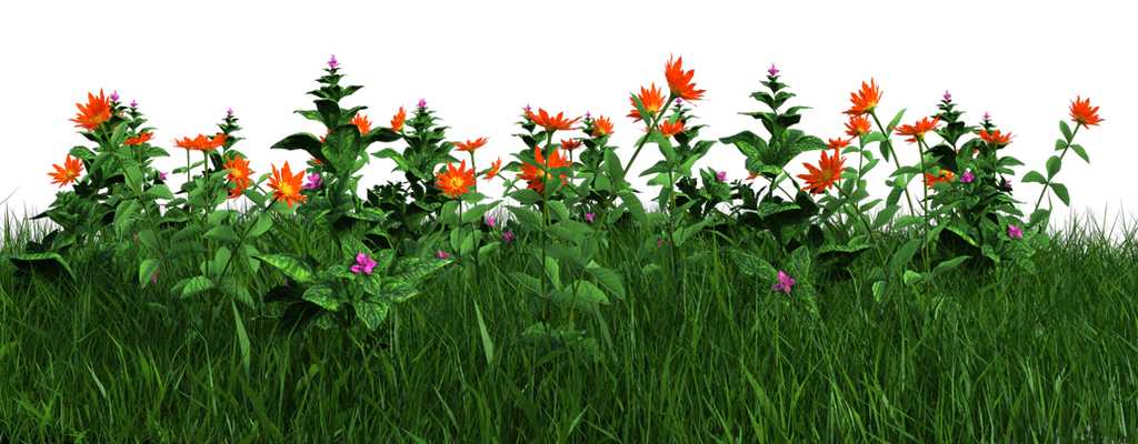 Free PNG: Grass and Flowers