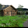 Free Stock PNG:  Cabin in woods background
