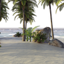 Free Stock PNG:  Tropical Island