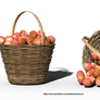 Free Stock PNG:  Apples in Basket