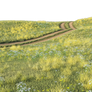 Free Background PNG:  Field with dirt road