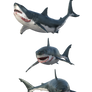 Free Stock PNG:  Shark from three angles