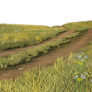 Free Stock PNG:  Grassy field with dirt road