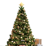 Free Stock PNG:  Christmas Tree