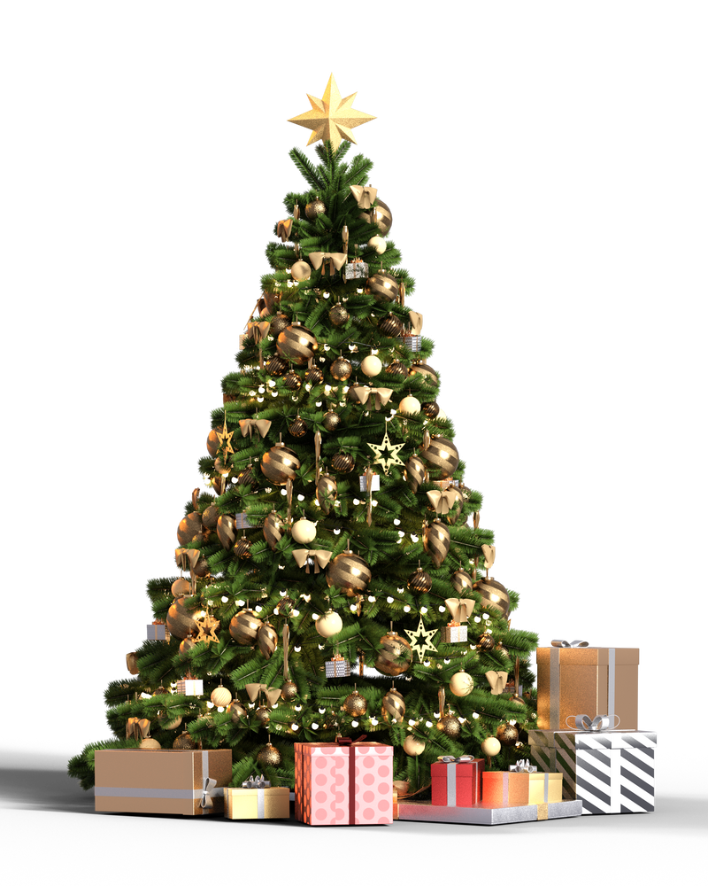 Free Stock PNG: Christmas Tree by ArtReferenceSource on DeviantArt