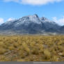 Free Stock Background:  Mountains and field