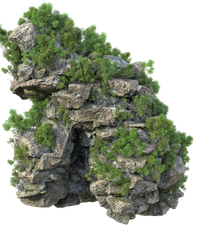 Free stock:  rocky cliff with bushes