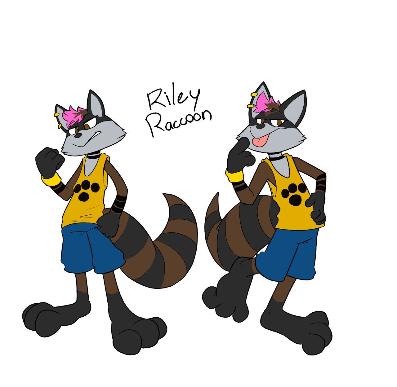 Racoon Riley Introducing: Riley Raccoon! (TT Looniversity Sona) by MeowyanXCooper on ...