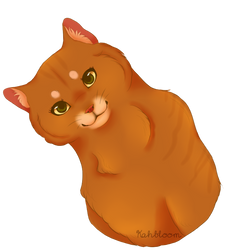 Squirrelflight