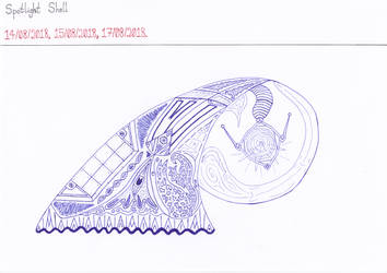Art #81 -- Spotlight Shell by Naean
