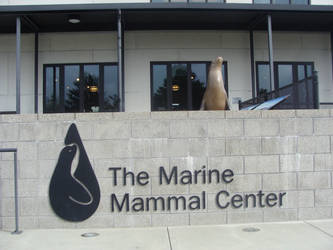 Marine Mammal Center