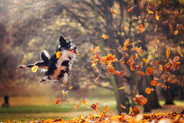 No gravity by KristynaKvapilova