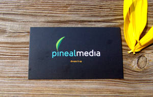 Pineal Media Business Card