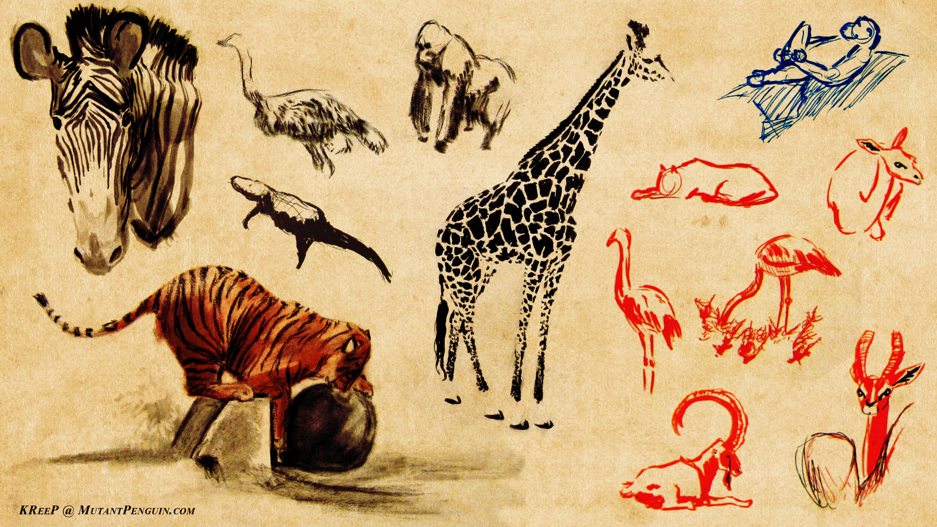 Zoo Doodles
